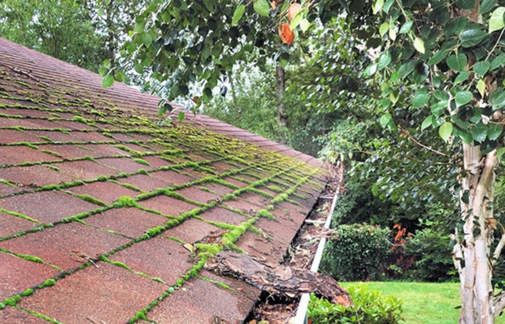 Dirty roof and gutters
