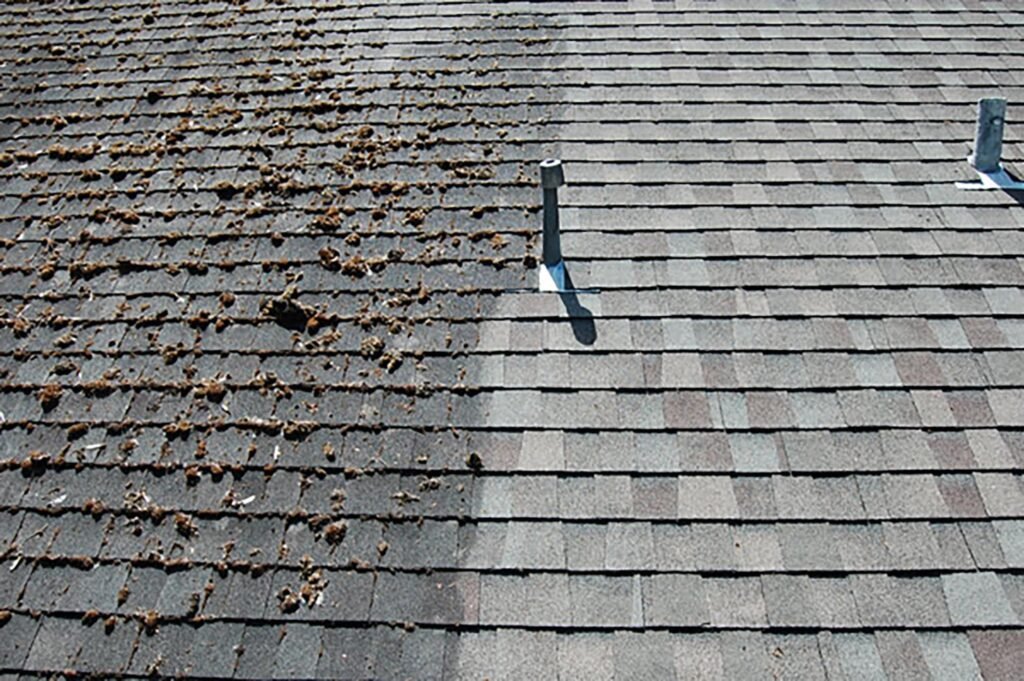 Close-up view showing before-and-after results of a roof cleaned in Camano Island WA using professional cleaning methods