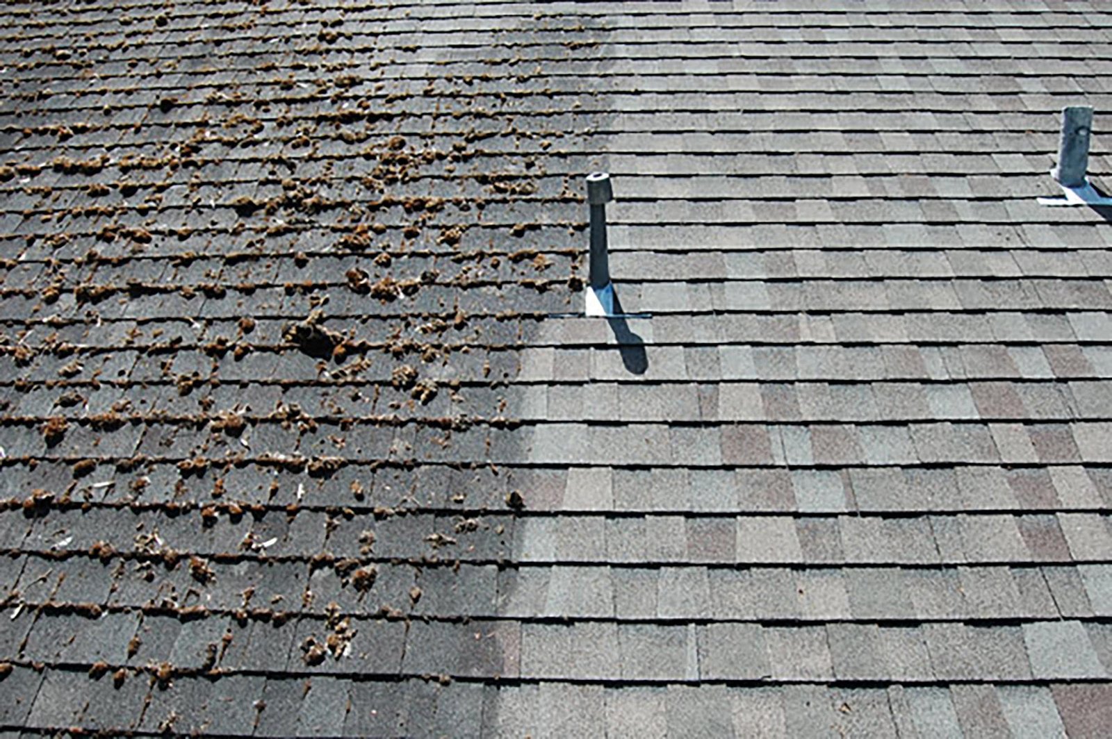 Close-up view showing before-and-after results of a roof cleaned in Camano Island WA using professional cleaning methods