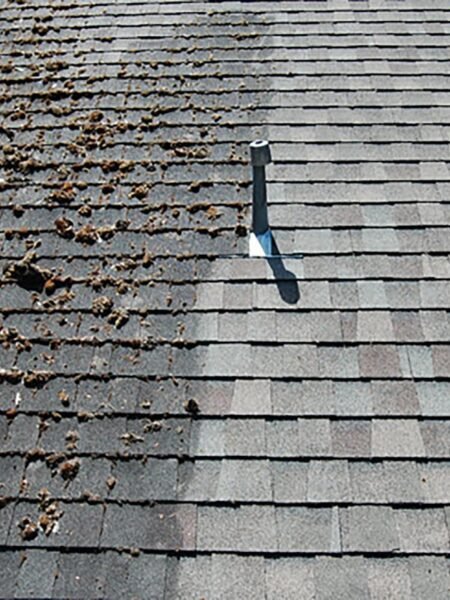 Close-up view showing before-and-after results of professional roof cleaning in Marysville WA. Roof half dirty, half clean.