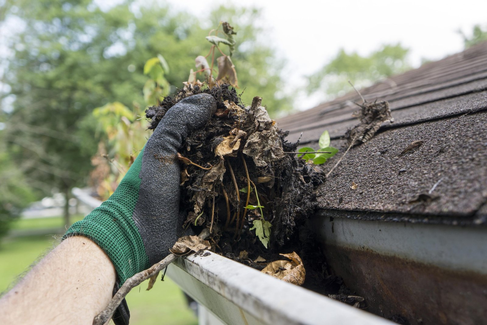 Hand removing leaves and debris during residential gutter cleaning in Marysville WA