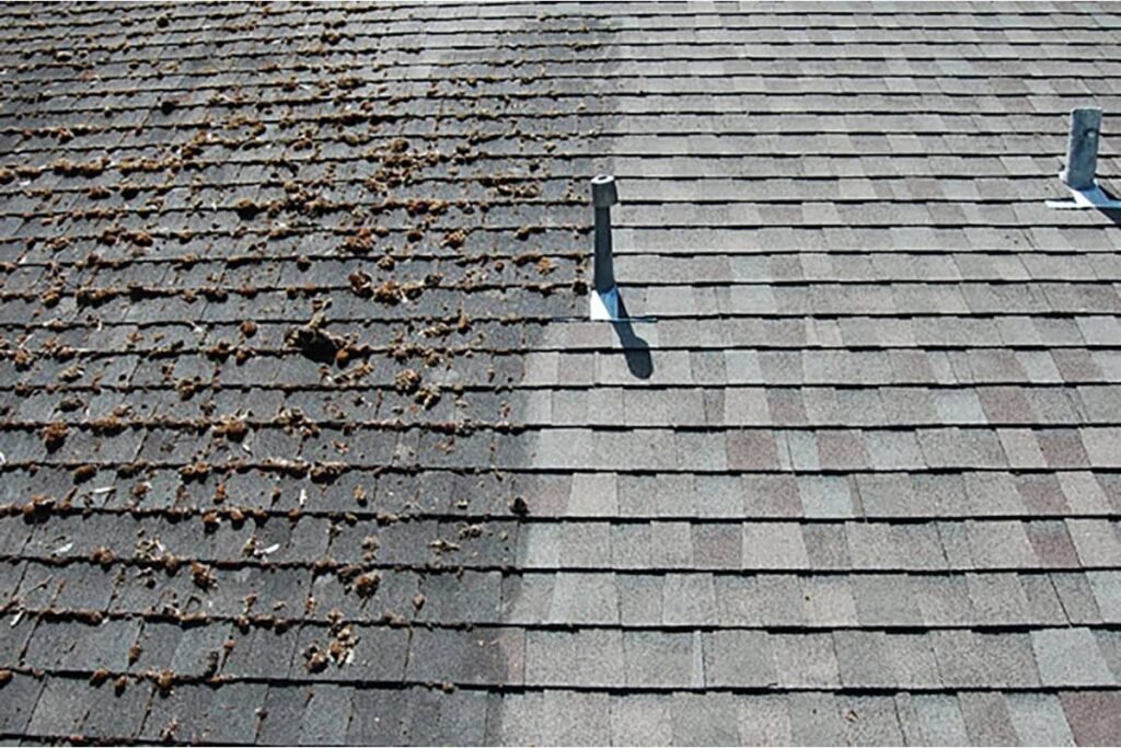 Close-up view showing before-and-after results of professional roof cleaning in Marysville WA. Roof half dirty, half clean.