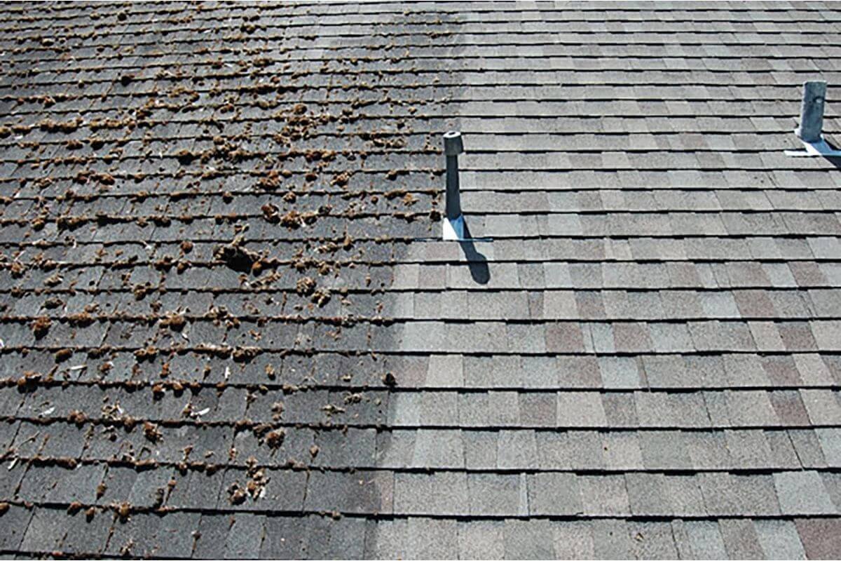 Close-up view showing before-and-after results of professional roof cleaning in Marysville WA. Roof half dirty, half clean.