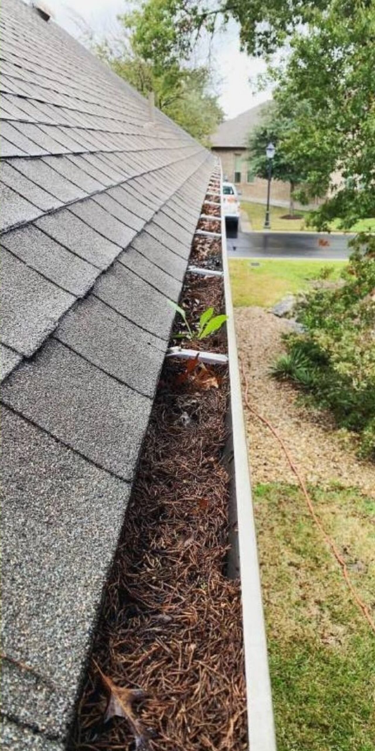 Before exterior cleaning