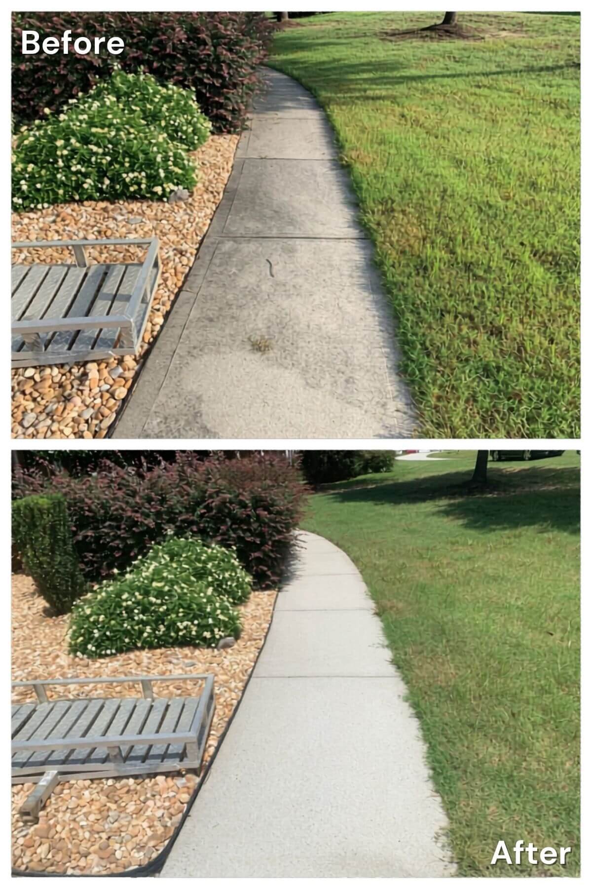 Before-and-after results of pressure washing in Marysville WA on a long sidewalk